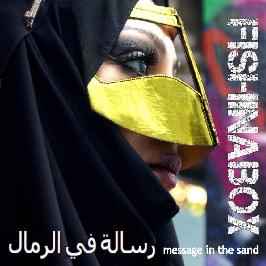 message in the sand amended cover3