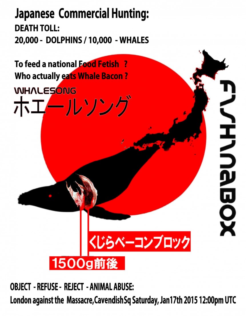 WHALECOVER POSTER JPEG