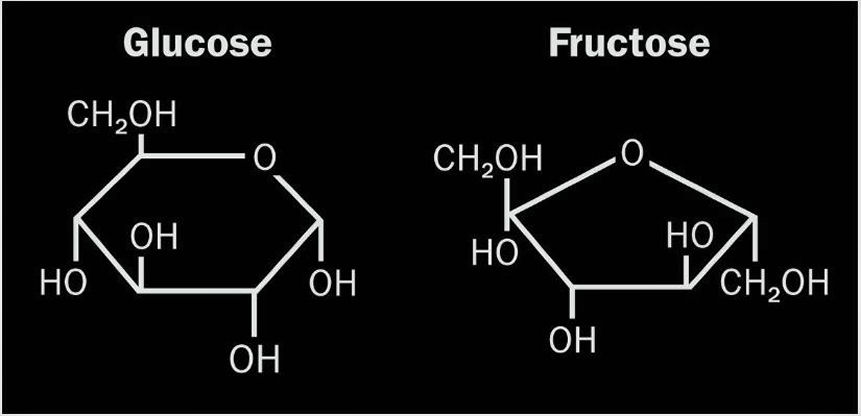glucose fructosse