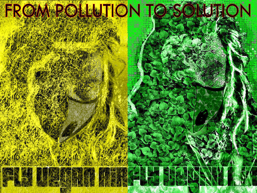 pollution to solution